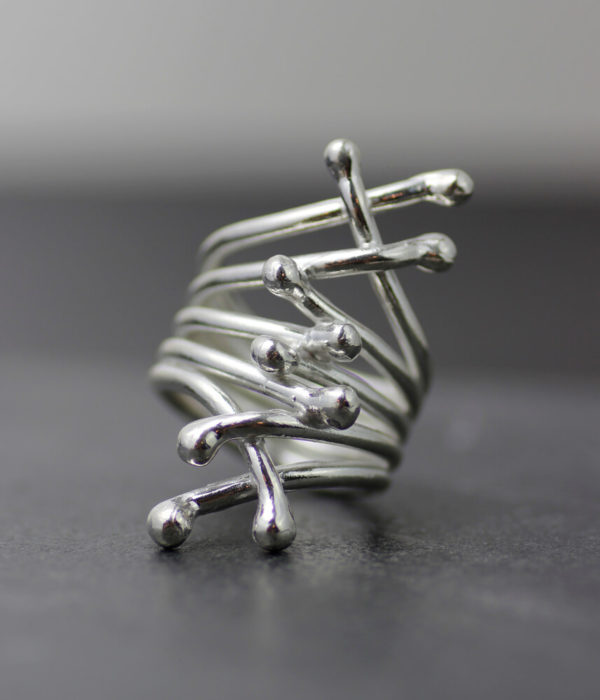 LOLiDE vertebrae ring