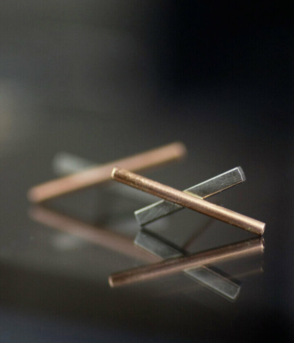 double x  close up mixed metals earrings